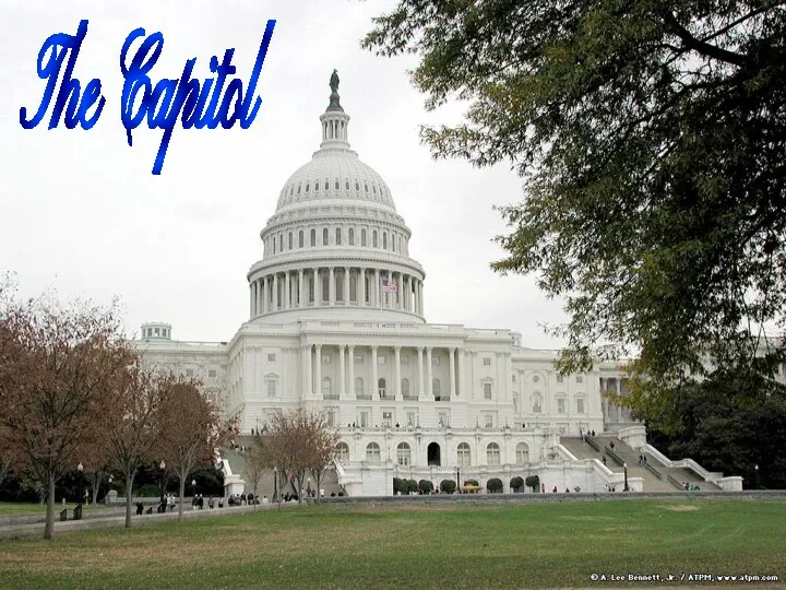 The Capitol