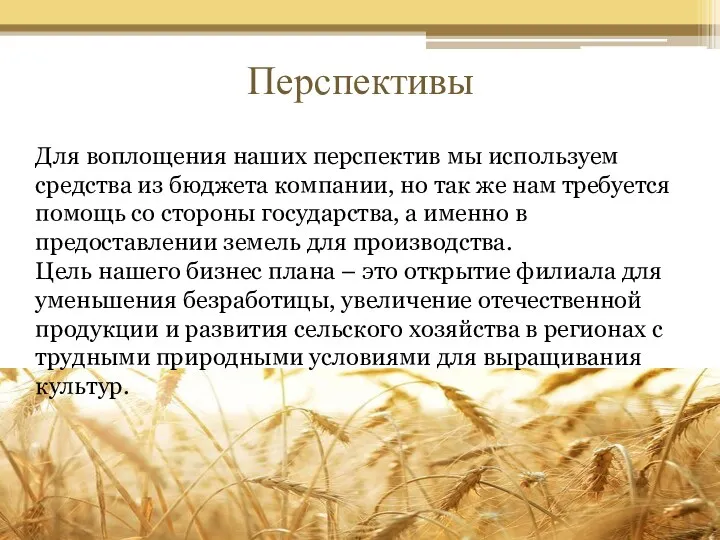 Перспективы Для воплощения наших перспектив мы используем средства из бюджета