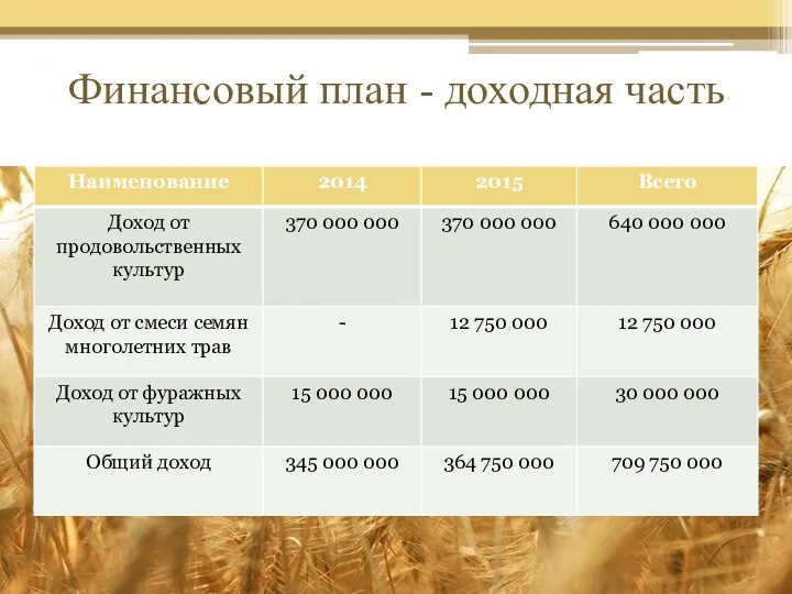 Финансовый план - доходная часть