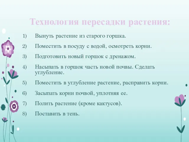 Технология пересадки растения: Вынуть растение из старого горшка. Поместить в