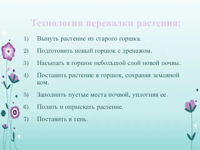 Технология перевалки растения: Вынуть растение из старого горшка. Подготовить новый