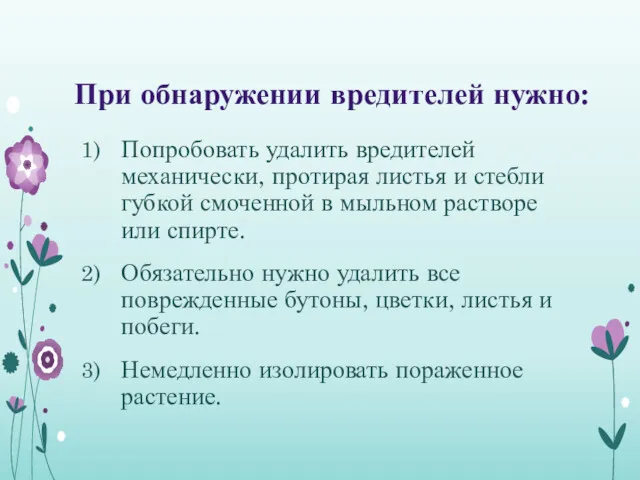 При обнаружении вредителей нужно: Попробовать удалить вредителей механически, протирая листья