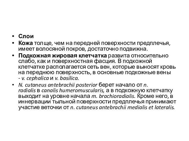 Слои Кожа толще, чем на передней поверхности предплечья, имеет волосяной