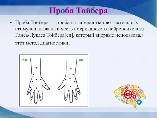 Проба Тойбера Проба Тойбера — проба на латерализацию тактильных стимулов,