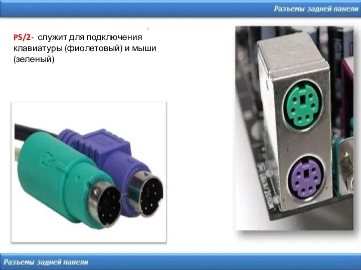 PS/2- служит для подключения клавиатуры (фиолетовый) и мыши (зеленый)