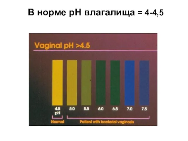 В норме pH влагалища = 4-4,5