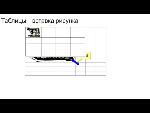 Таблицы – вставка рисунка ЛКМ