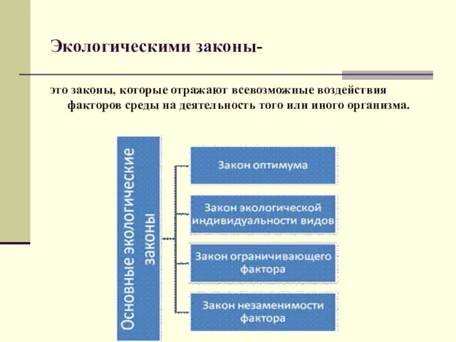 Экологическими законы- это законы, которые отражают всевозможные воздействия факторов среды на деятельность того или иного организма.