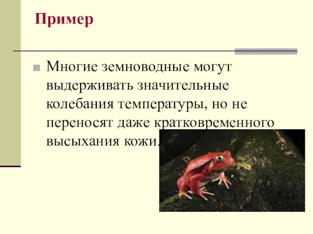 Пример Многие земноводные могут выдерживать значительные колебания температуры, но не переносят даже кратковременного высыхания кожи.