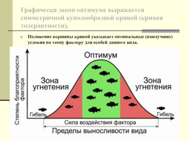 Графически закон оптимума выражается симметричной куполообразной кривой (кривая толерантности), Положение