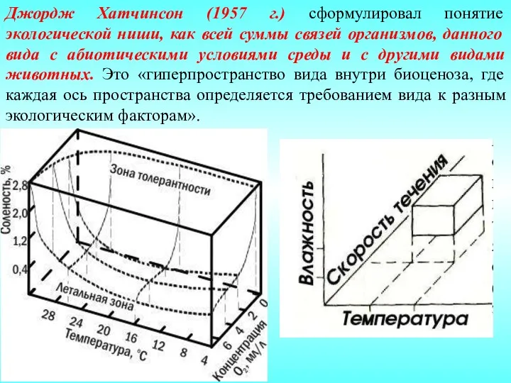 Джордж Хатчинсон (1957 г.) сформулировал понятие экологической ниши, как всей