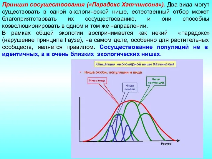 Принцип сосуществования («Парадокс Хатчинсона»). Два вида могут существовать в одной экологической нише, естественный