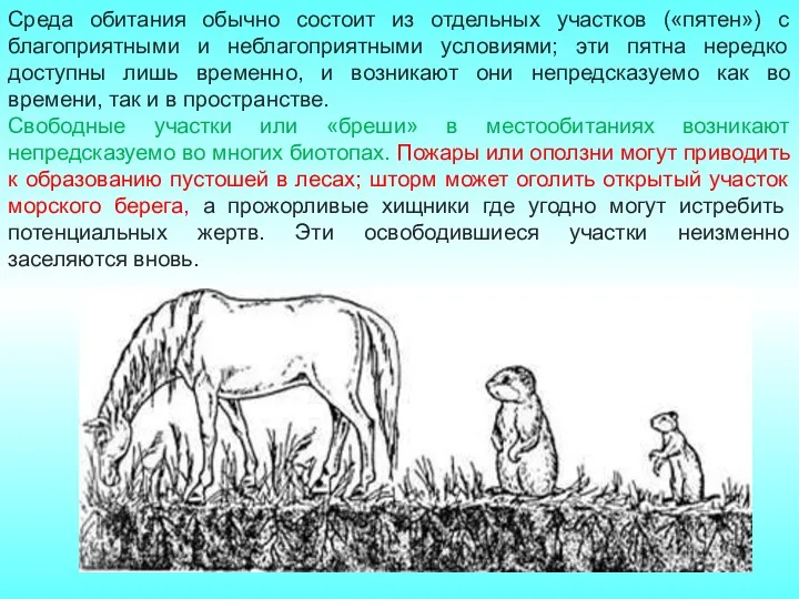 Среда обитания обычно состоит из отдельных участков («пятен») с благоприятными