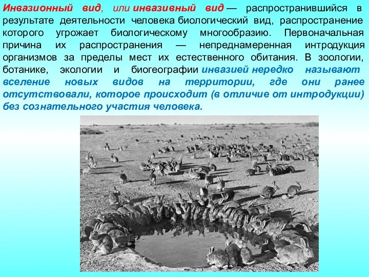 Инвазионный вид, или инвазивный вид — распространившийся в результате деятельности