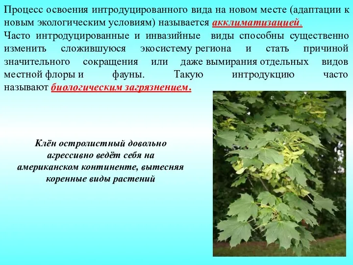 Процесс освоения интродуцированного вида на новом месте (адаптации к новым экологическим условиям) называется