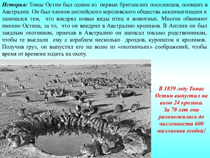 История: Томас Остин был одним из первых британских поселенцев, осевших в Австралии. Он