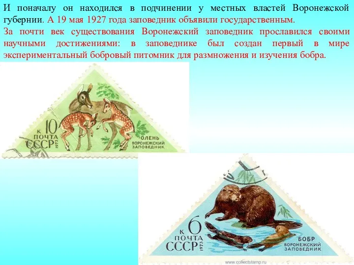 И поначалу он находился в подчинении у местных властей Воронежской губернии. А 19