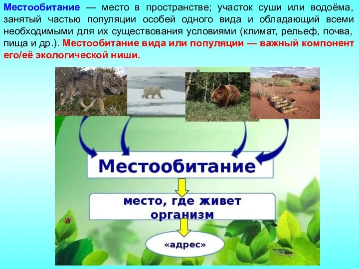 Местообитание — место в пространстве; участок суши или водоёма, занятый