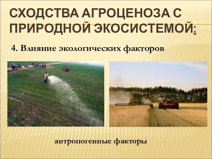 СХОДСТВА АГРОЦЕНОЗА С ПРИРОДНОЙ ЭКОСИСТЕМОЙ: 4. Влияние экологических факторов антропогенные факторы