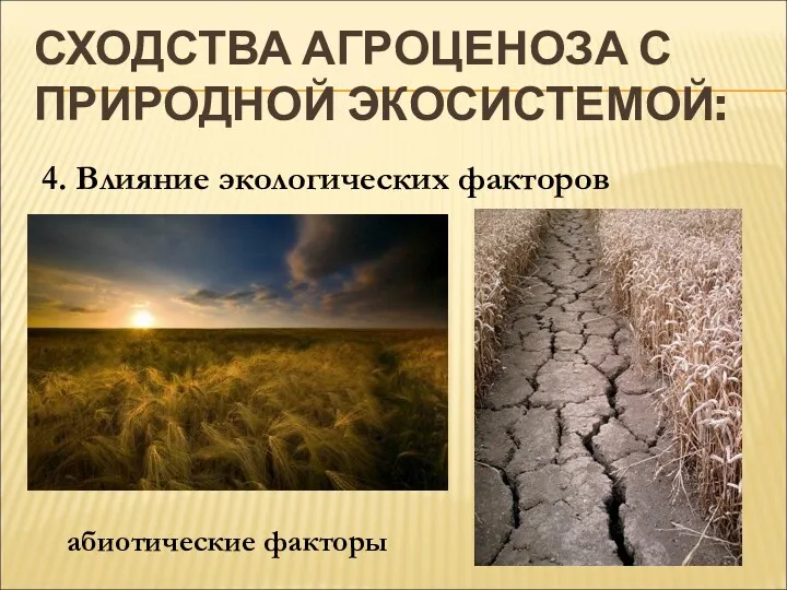 СХОДСТВА АГРОЦЕНОЗА С ПРИРОДНОЙ ЭКОСИСТЕМОЙ: 4. Влияние экологических факторов абиотические факторы