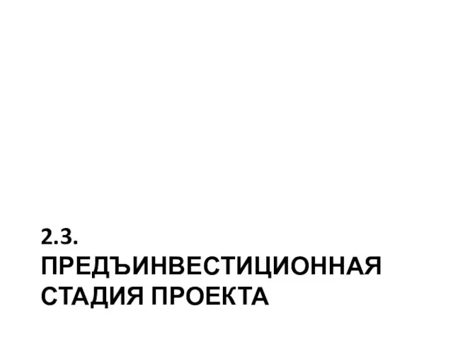 2.3. ПРЕДЪИНВЕСТИЦИОННАЯ СТАДИЯ ПРОЕКТА