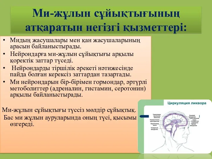 Ми-жұлын сұйықтығының атқаратын негізгі қызметтері: Мидың жасушалары мен қан жасушаларының