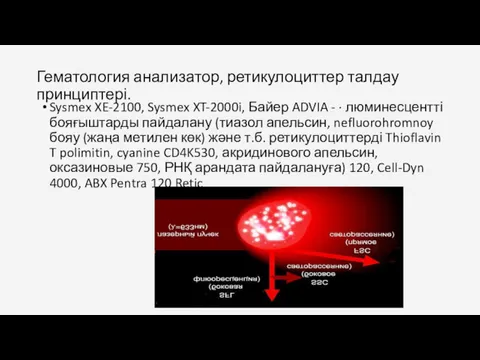 Гематология анализатор, ретикулоциттер талдау принциптері. Sysmex XE-2100, Sysmex XT-2000i, Байер