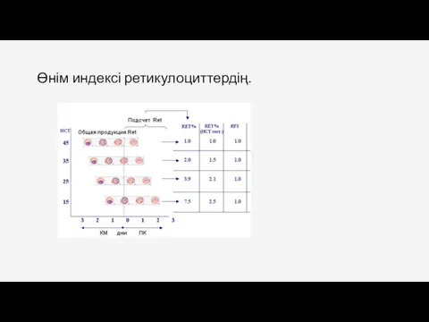 Өнім индексі ретикулоциттердің.