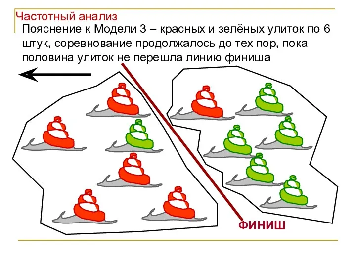 ФИНИШ Пояснение к Модели 3 – красных и зелёных улиток