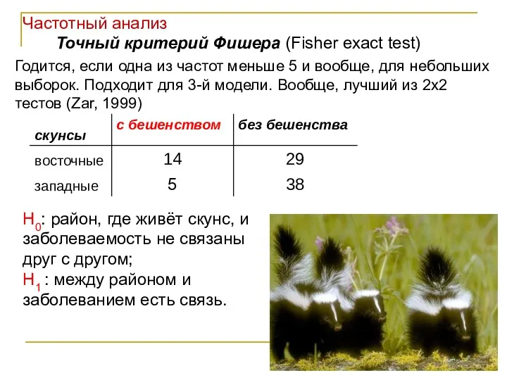 Точный критерий Фишера (Fisher exact test) Годится, если одна из