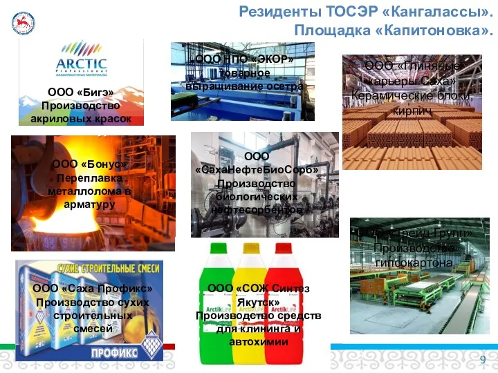 ООО «СахаНефтеБиоСорб» Производство биологических нефтесорбентов ООО «Саха Профикс» Производство сухих