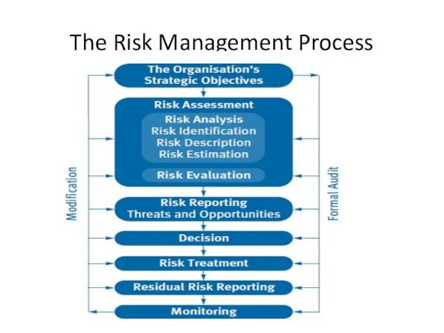 The Risk Management Process