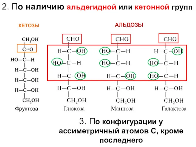 АЛЬДОЗЫ КЕТОЗЫ 2. По наличию альдегидной или кетонной групп 3.