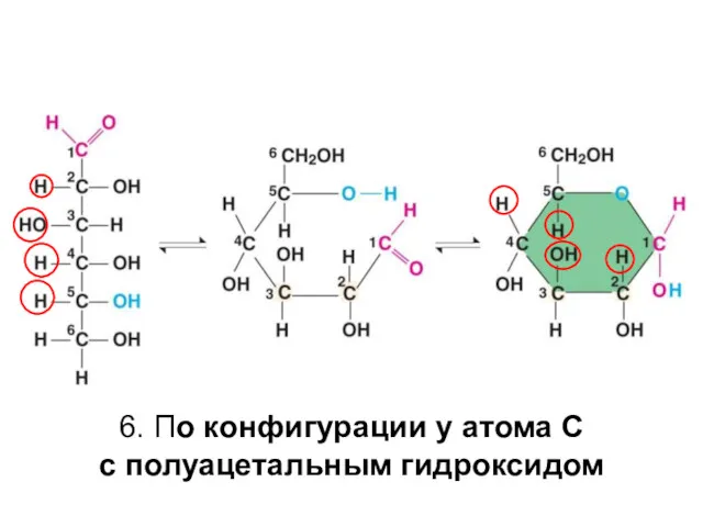 6. По конфигурации у атома С с полуацетальным гидроксидом