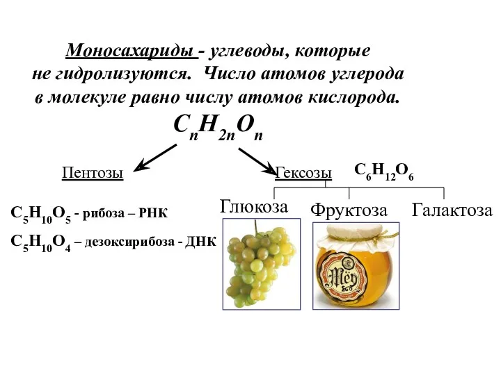 Моносахариды - углеводы, которые не гидролизуются. Число атомов углерода в