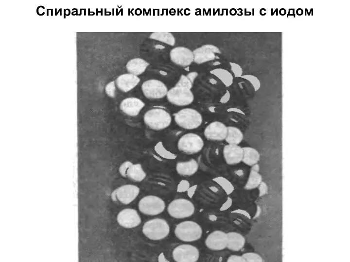 Спиральный комплекс амилозы с иодом