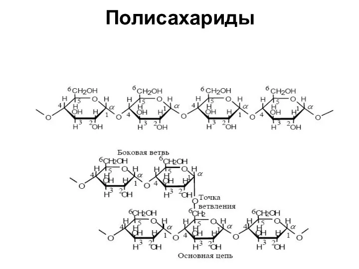 Полисахариды