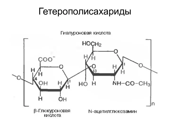 Гетерополисахариды