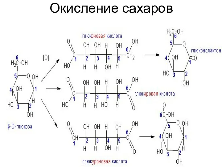 Окисление сахаров