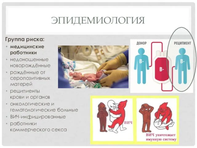ЭПИДЕМИОЛОГИЯ Группа риска: медицинские работники недоношенные новорождённые рождённые от серопозитивных