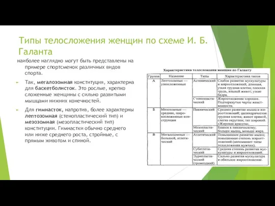 Типы телосложения женщин по схеме И. Б. Галанта наиболее наглядно