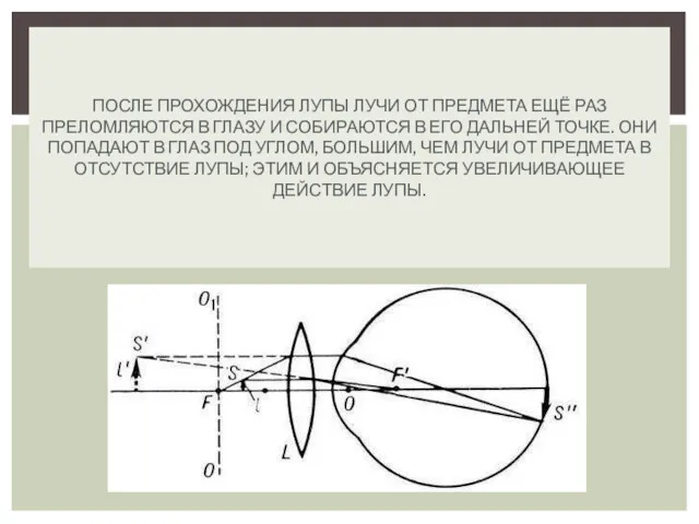 ПОСЛЕ ПРОХОЖДЕНИЯ ЛУПЫ ЛУЧИ ОТ ПРЕДМЕТА ЕЩЁ РАЗ ПРЕЛОМЛЯЮТСЯ В