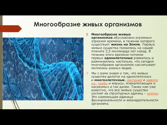 Многообразие живых организмов Многообразие живых организмов обусловлено огромным отрезком времени,