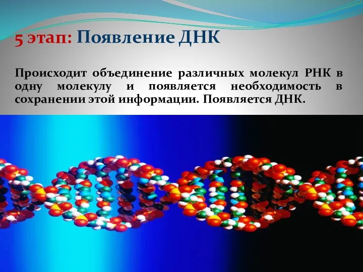 5 этап: Появление ДНК Происходит объединение различных молекул РНК в