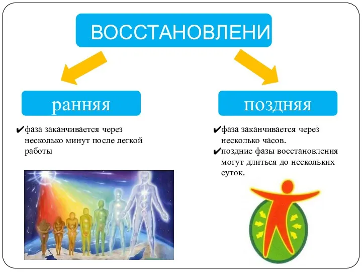 ВОССТАНОВЛЕНИЕ ранняя поздняя фаза заканчивается через несколько минут после легкой