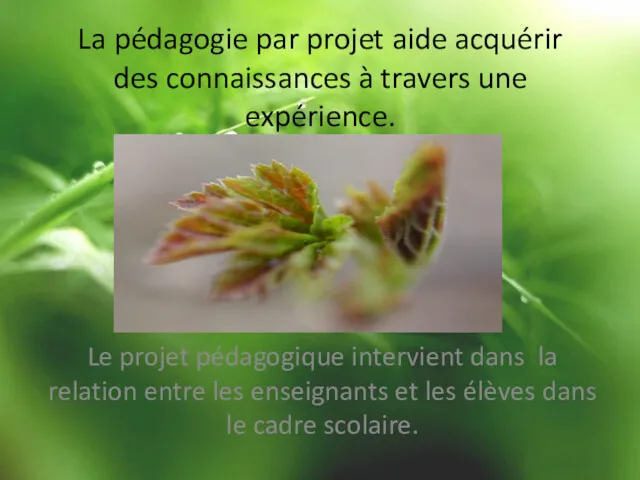 La pédagogie par projet aide acquérir des connaissances à travers