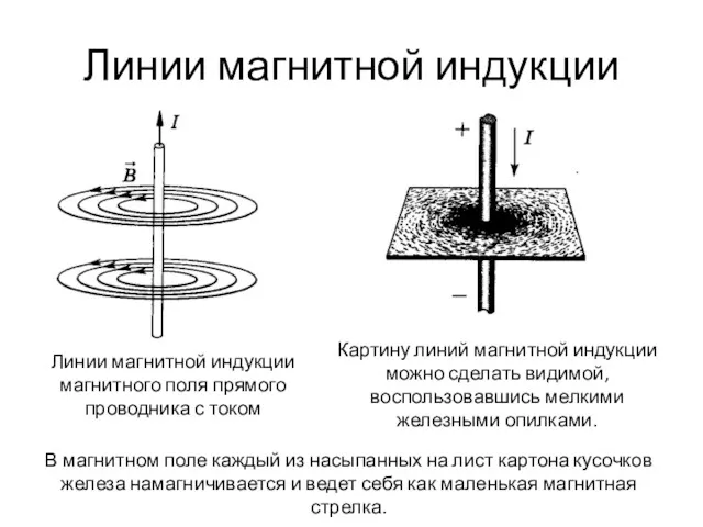 Линии магнитной индукции Картину линий магнитной индукции можно сделать видимой,