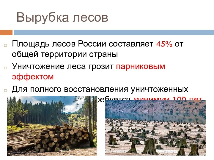 Вырубка лесов Площадь лесов России составляет 45% от общей территории