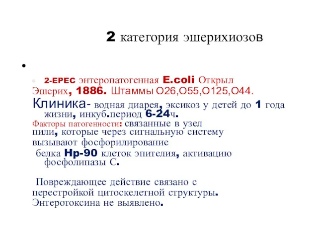 2 категория эшерихиозов 2-EPEC энтеропатогенная E.coli Открыл Эшерих, 1886. Штаммы