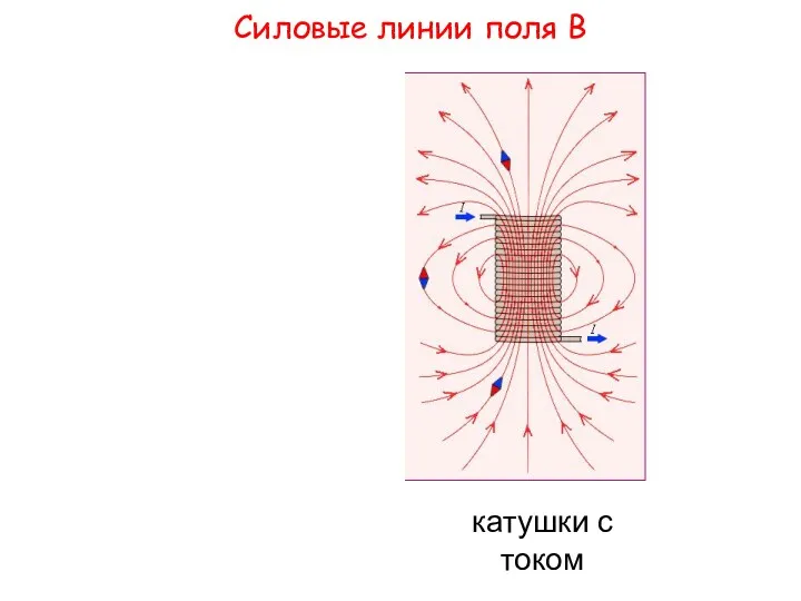 Силовые линии поля В постоянного магнита катушки с током